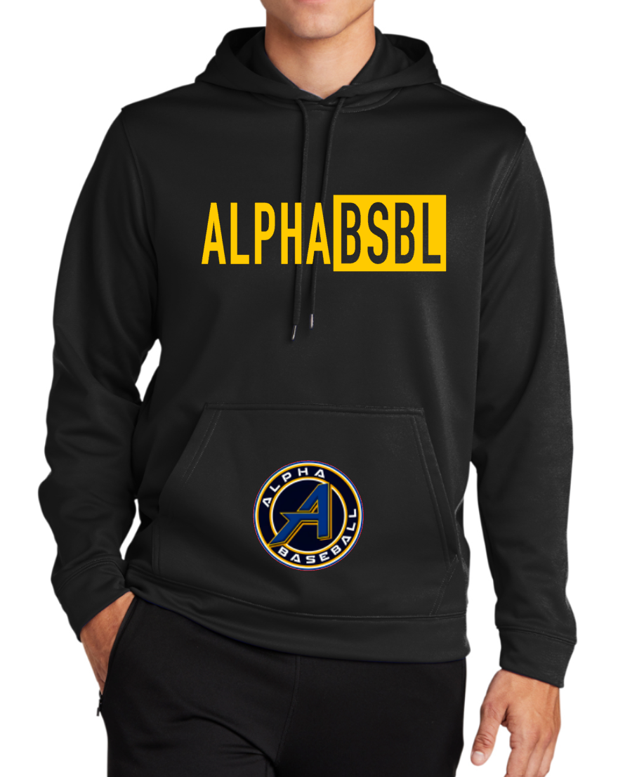 ALPHA BSBL - LONG SLEEVE HOODIE
