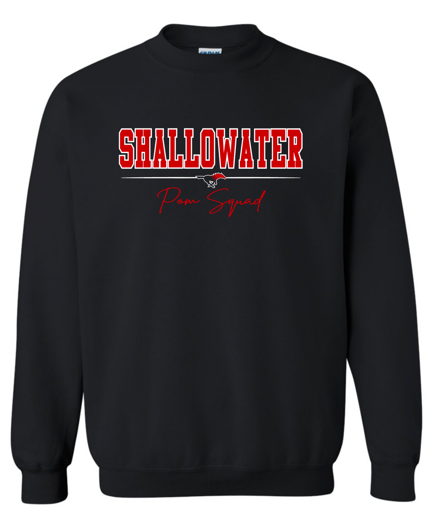 Shallowater Pom Squad