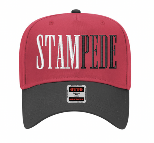 STAMPEDE split tone trucker hat