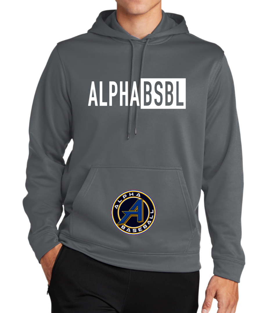 ALPHA BSBL - LONG SLEEVE HOODIE
