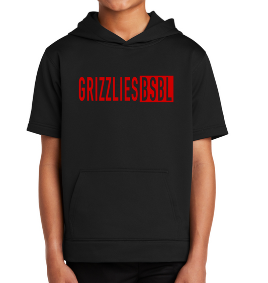 GRIZZLIES BSBL - DRI-FIT