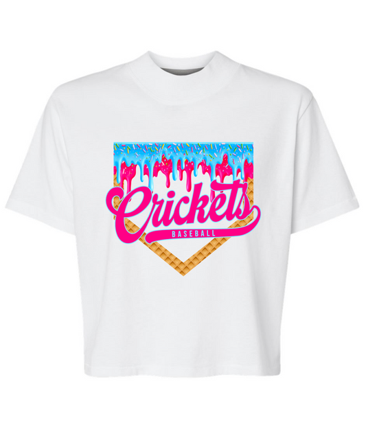 CRICKETS drip