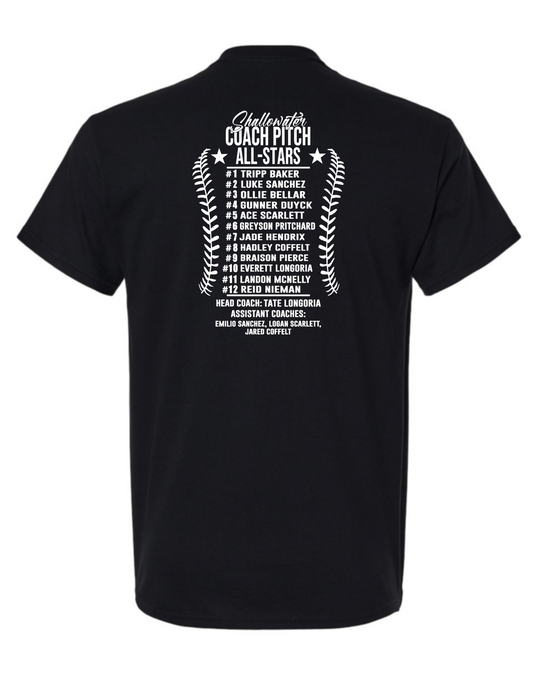 COACH PITCH - ALL STARS (roster on back)